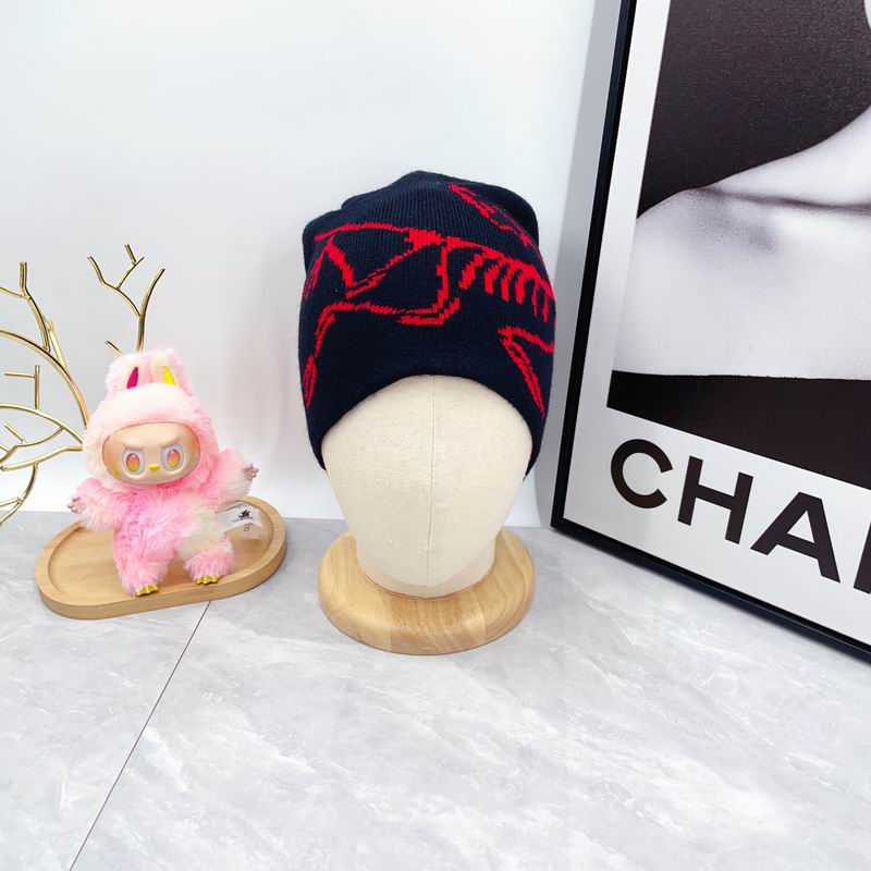 Arcteryx hat dx (1808)