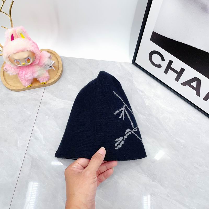 Arcteryx hat dx (1812)