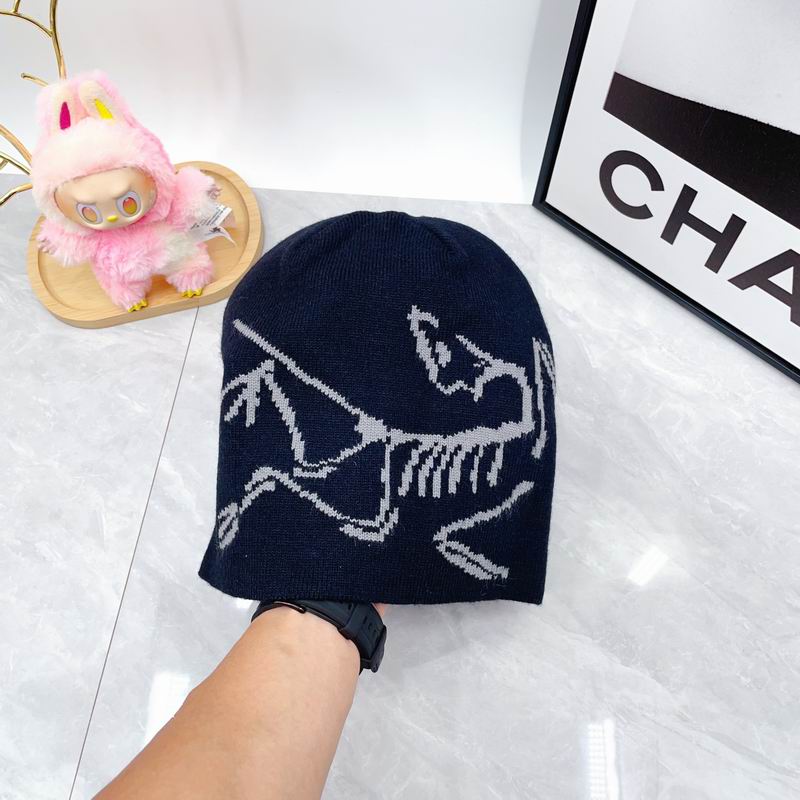 Arcteryx hat dx (1813)