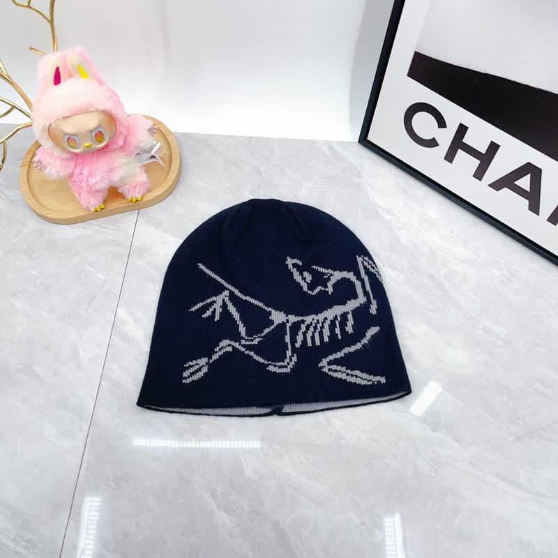 Arcteryx hat dx (1814)