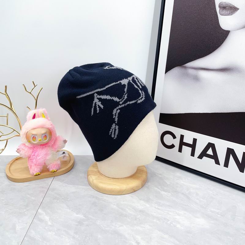 Arcteryx hat dx (1815)