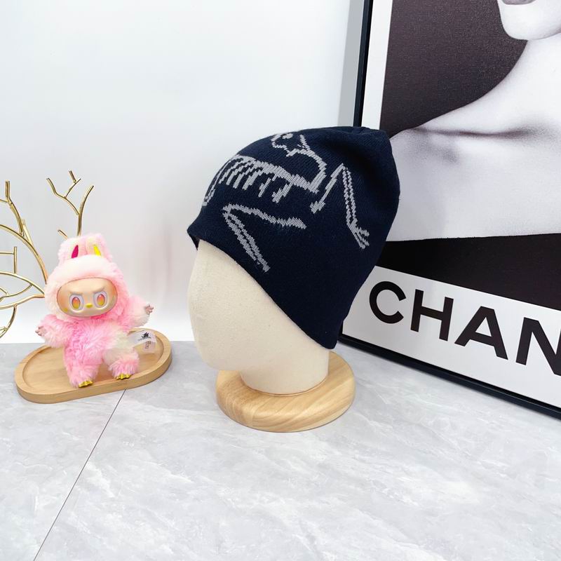 Arcteryx hat dx (1816)