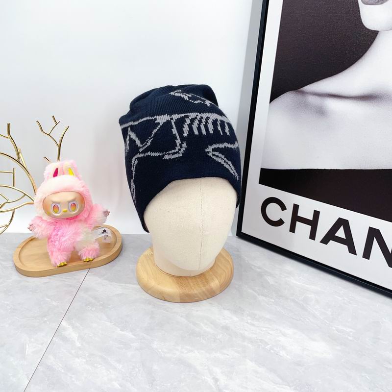 Arcteryx hat dx (1817)