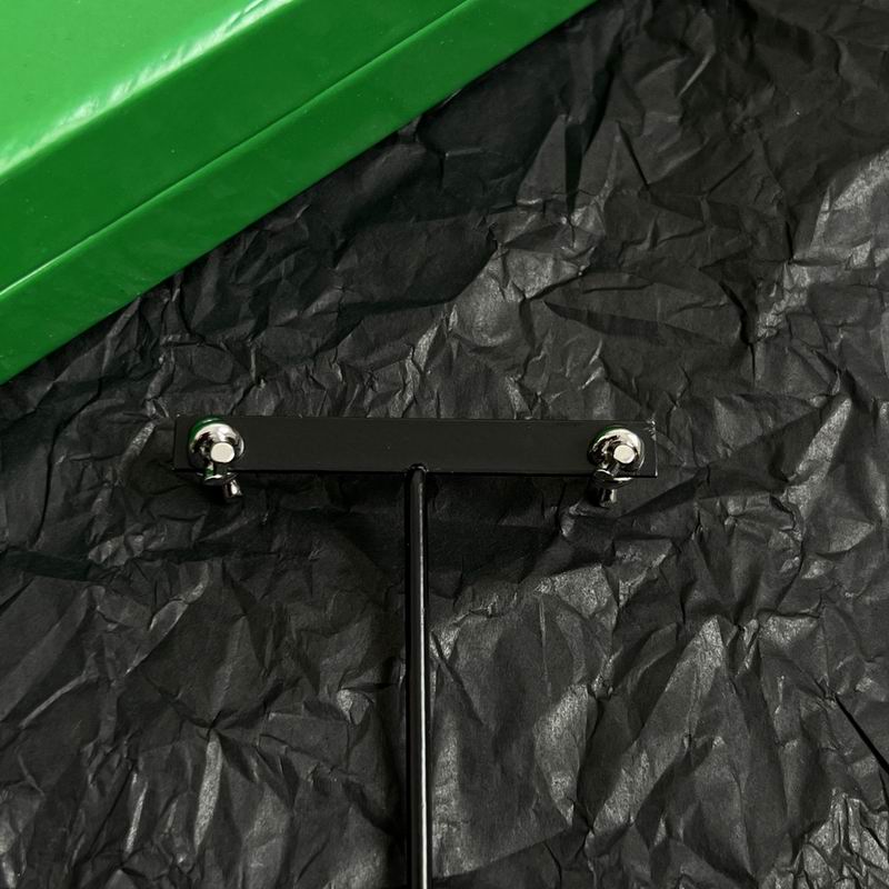 BV earring 05yxh01 (10)