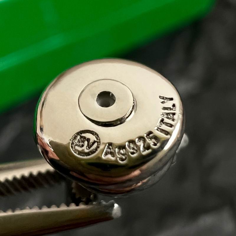 BV earring 05yxh01 (11)