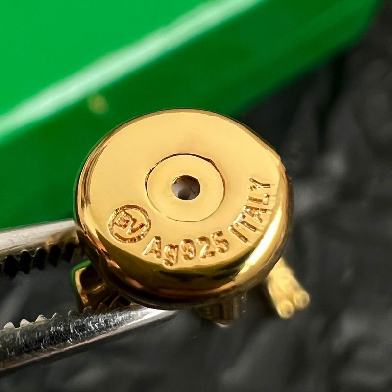 BV earring 05yxh01 (6)