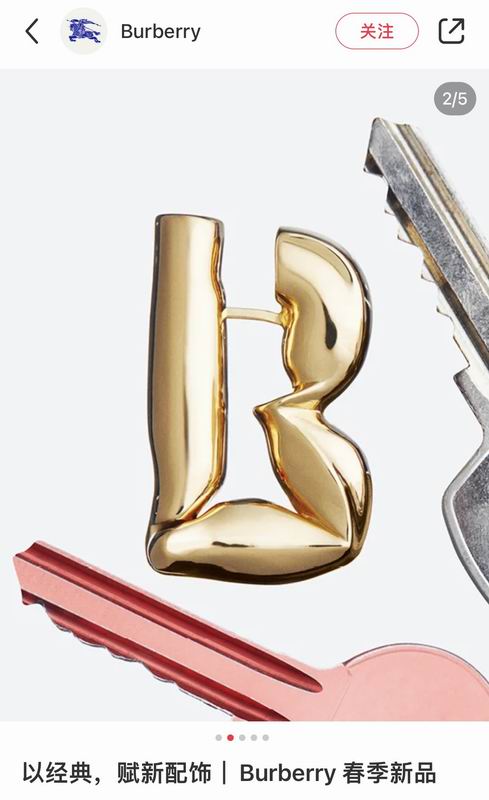 Burberry Earring 05yxh01 (1)