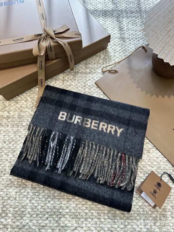 Burberry Scarf E (12)