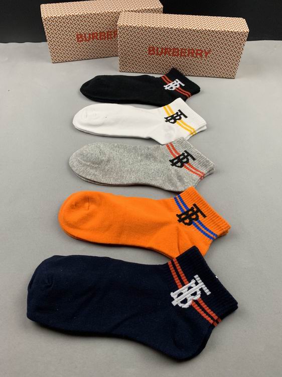 Burberry Sock   (2)