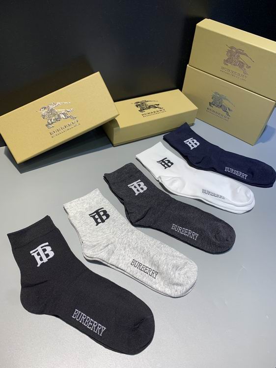 Burberry Sock   (2)