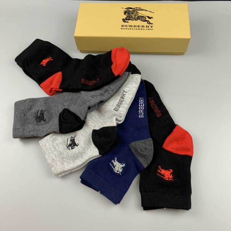 Burberry Sock   (3)
