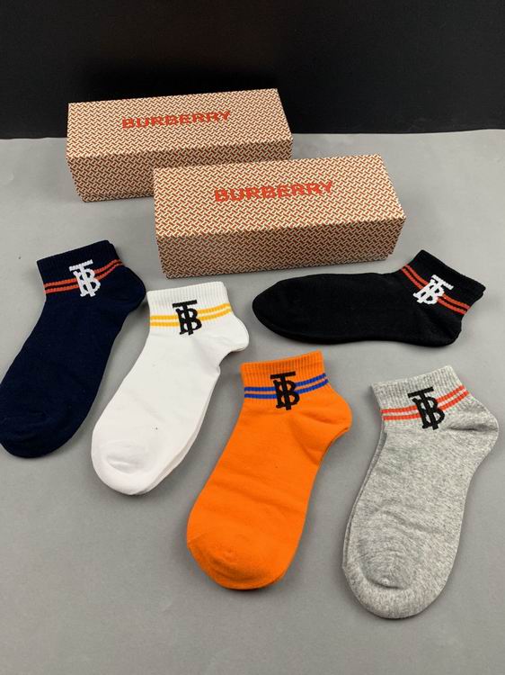 Burberry Sock   (3)