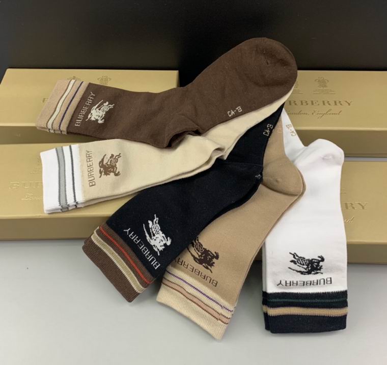 Burberry Sock   (4)