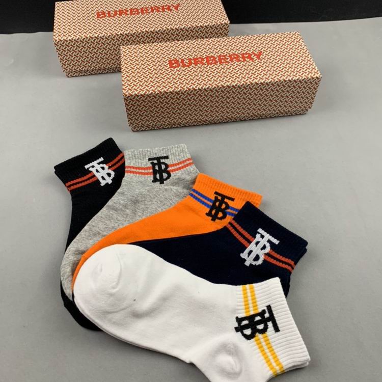 Burberry Sock   (4)