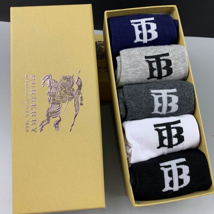 Burberry Sock   (5)
