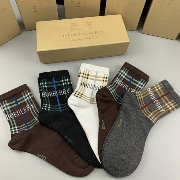 Burberry Sock   (5)
