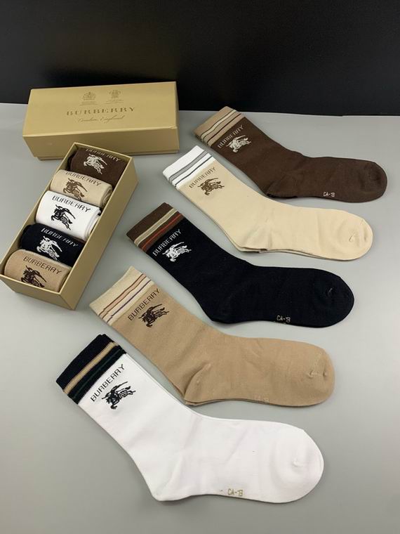 Burberry Sock   (5)