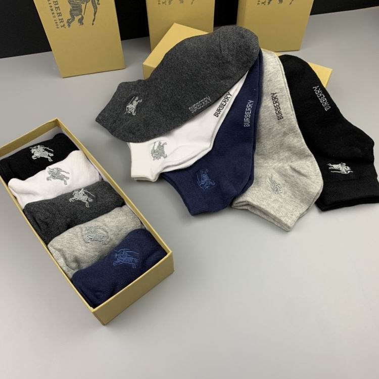 Burberry Sock   (5)