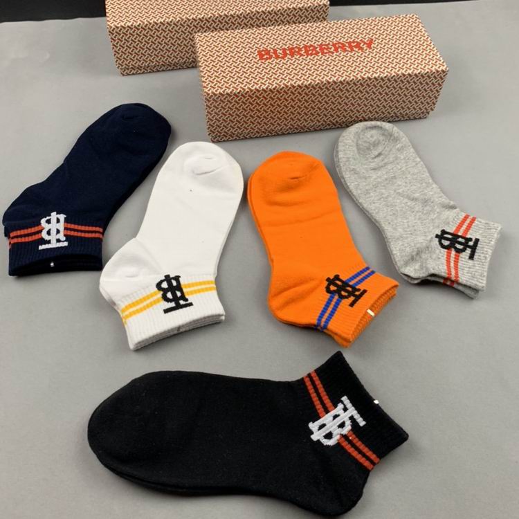 Burberry Sock   (5)