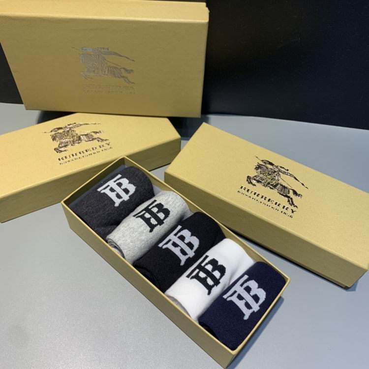 Burberry Sock   (5)