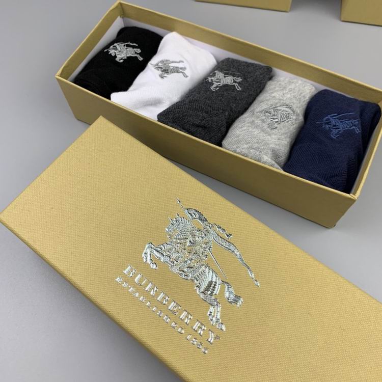 Burberry Sock   (6)