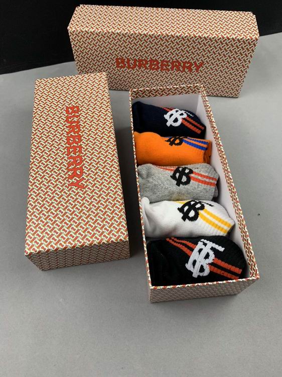 Burberry Sock   (6)