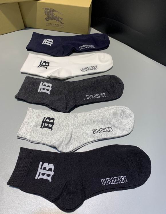 Burberry Sock   (6)