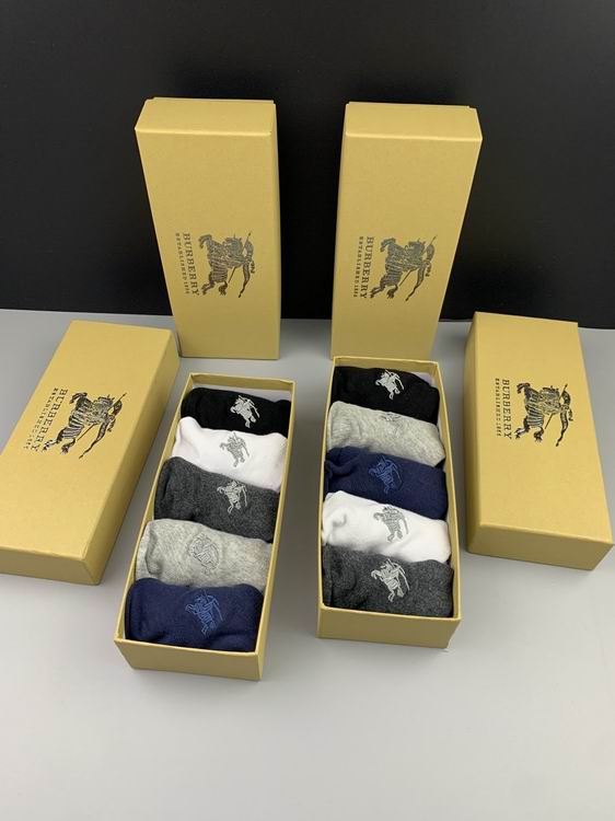 Burberry Sock   (8)