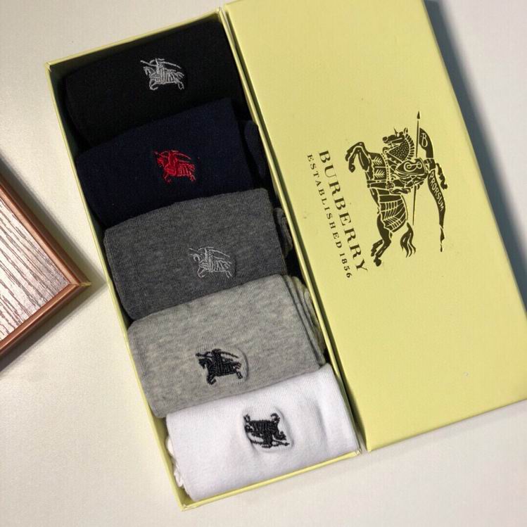 Burberry Sock   (9)