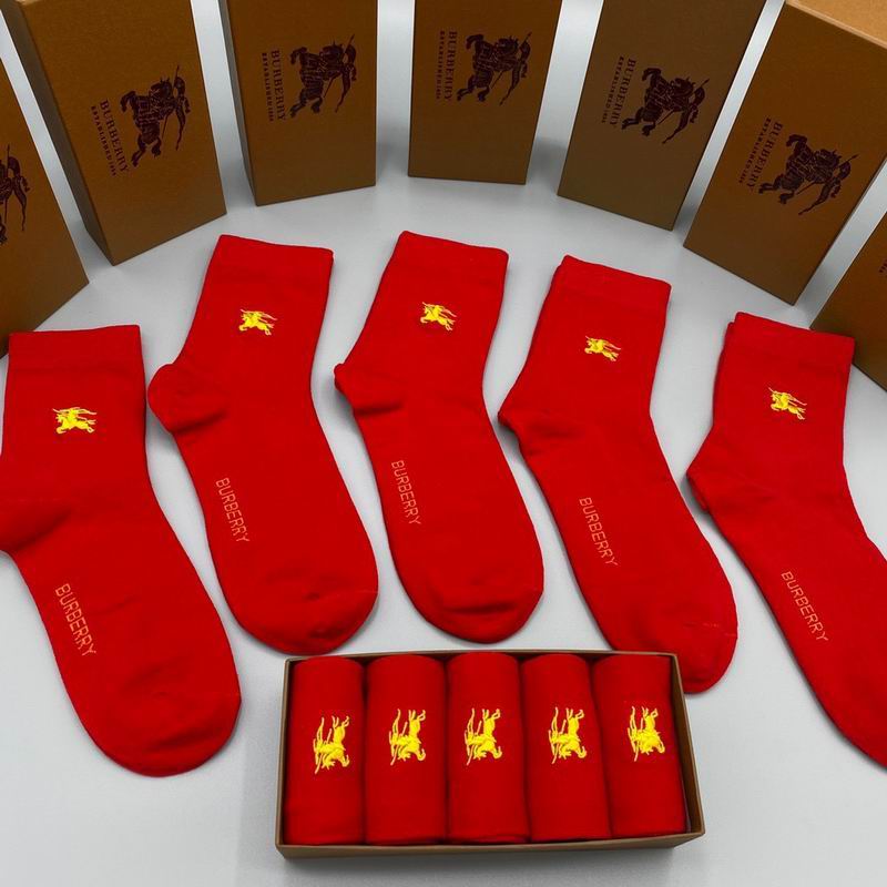 Burberry Socks  (2)