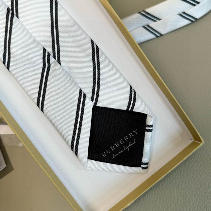 Burberry Tie hm (17)