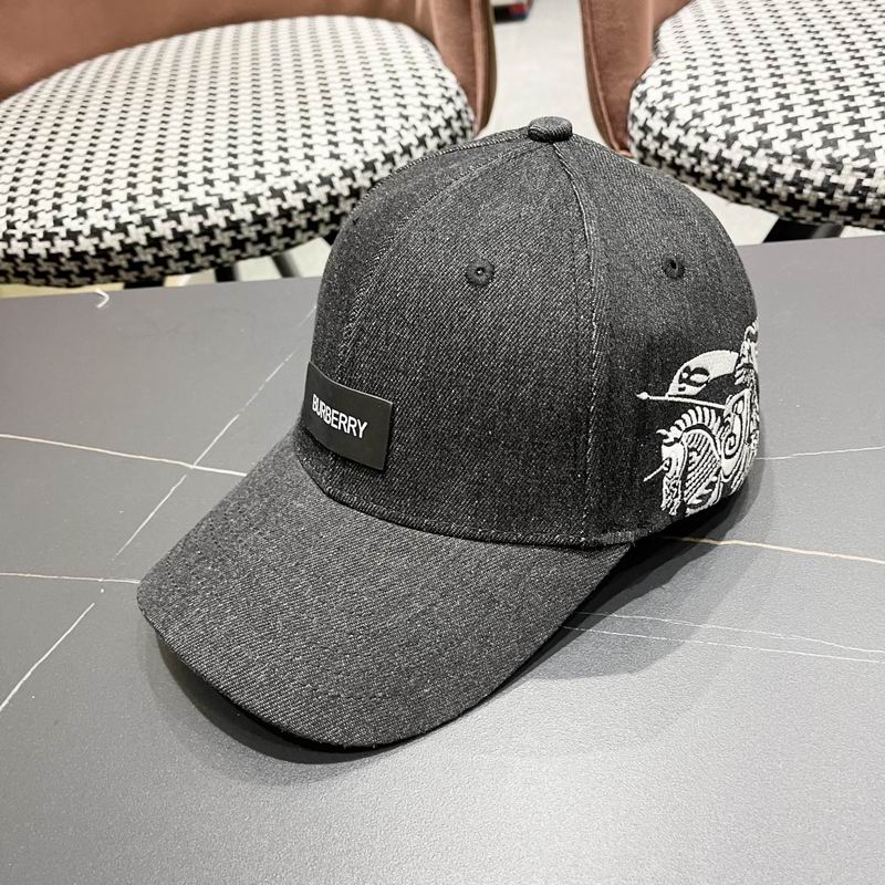 Burberry cap (80)