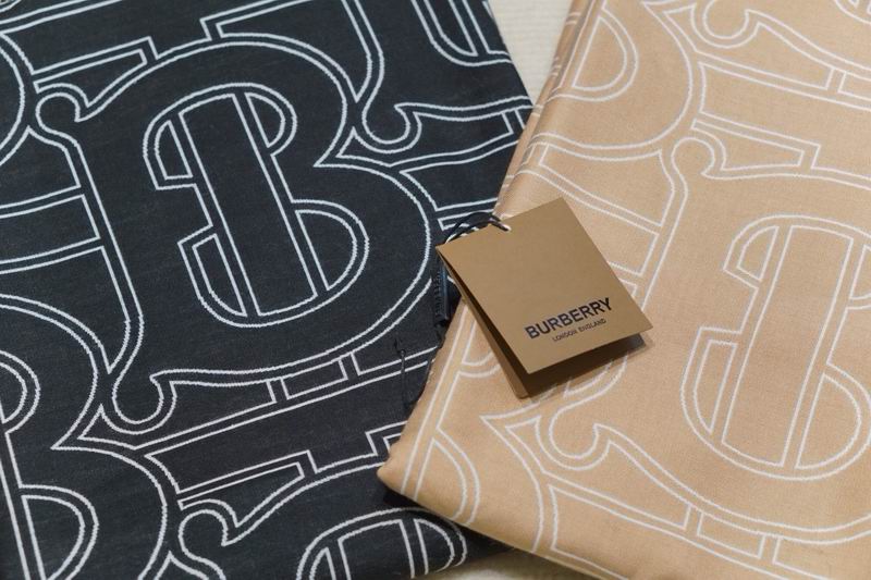 Burberry scarf 100X200cm E24 (10)