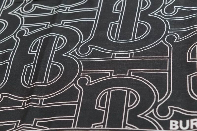 Burberry scarf 100X200cm E24 (11)