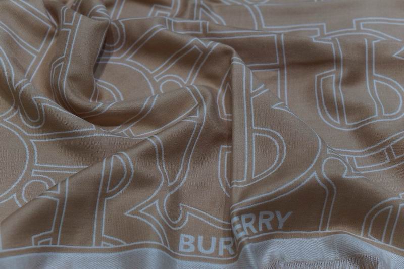 Burberry scarf 100X200cm E24 (3)