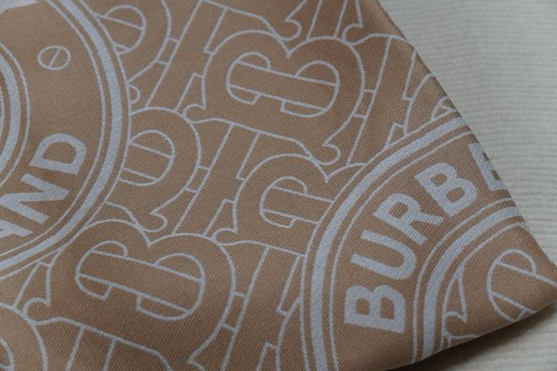 Burberry scarf 100X200cm E24 (4)
