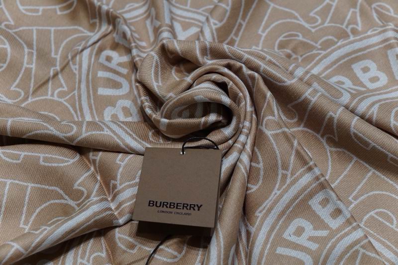 Burberry scarf 100X200cm E24 (6)