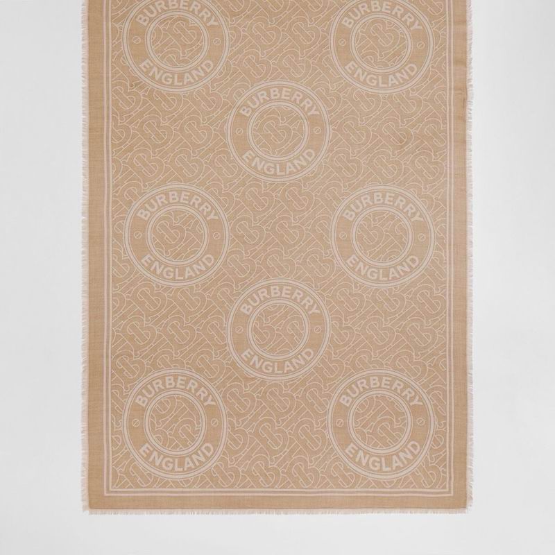 Burberry scarf 100X200cm E24 (7)