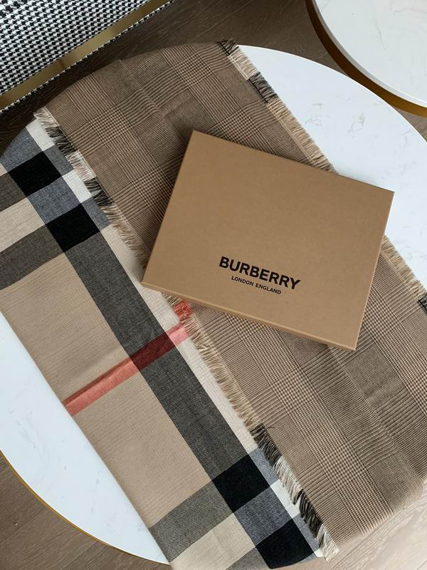 Burberry scarf 200X100cm 100羊绒 E (2)