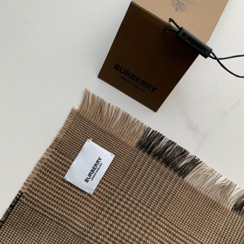 Burberry scarf 200X100cm 100羊绒 E (3)