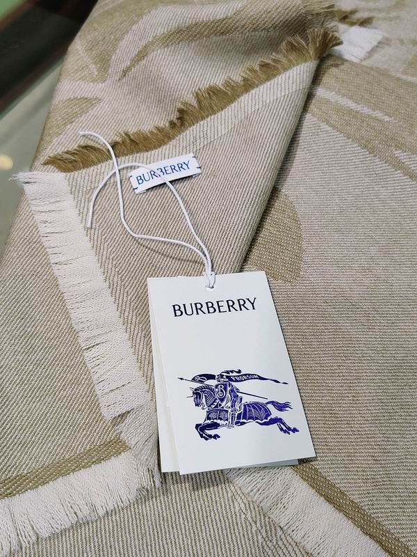 Burberry scarf 200X70cm E (3)
