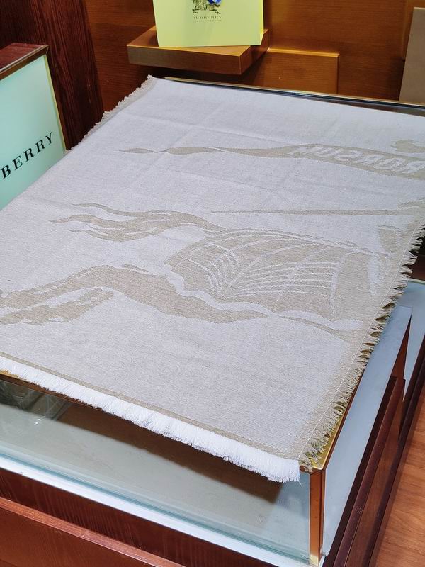 Burberry scarf 200X70cm E (4)