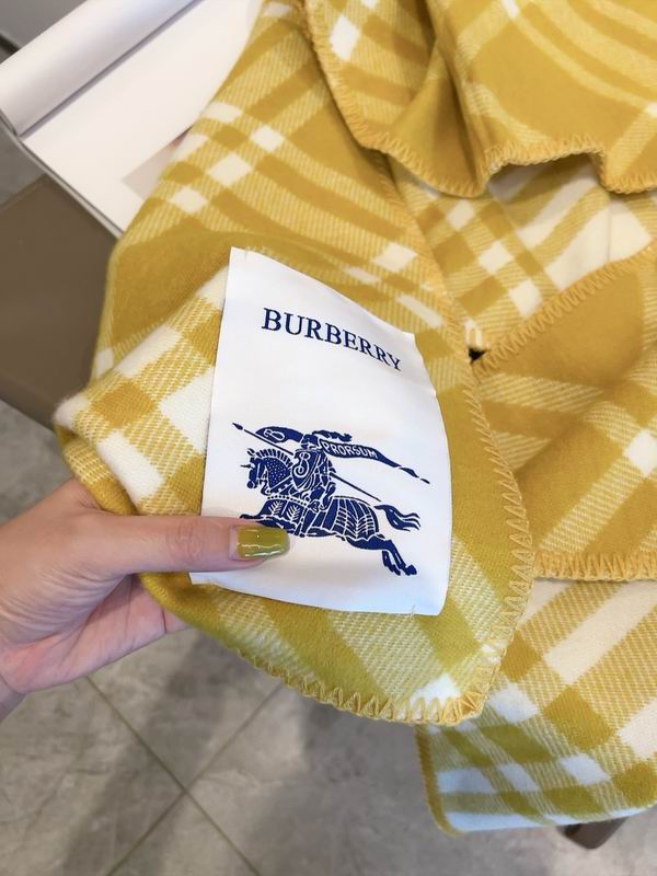 Burberry scarf 30X210cm E (11)
