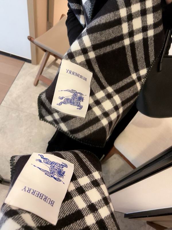 Burberry scarf 30X210cm E (3)