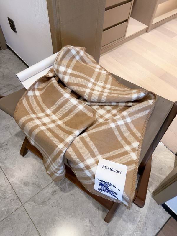 Burberry scarf 30X210cm E (9)