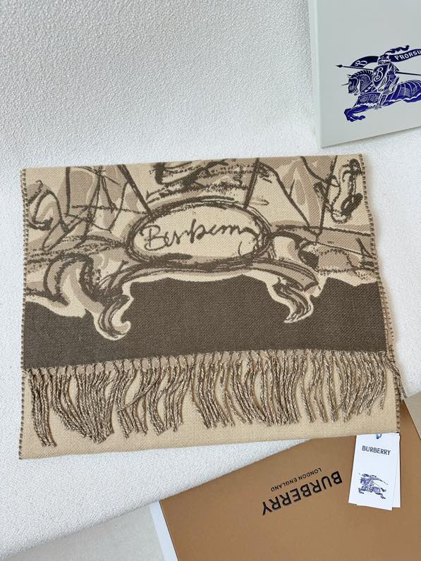 Burberry scarf 50X230cm 100%羊绒 E (9)