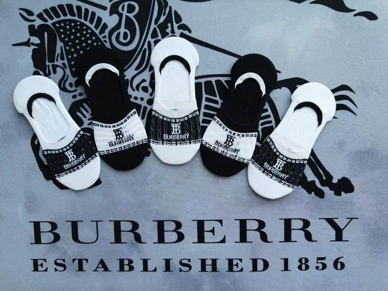 Burberry socks  (1)