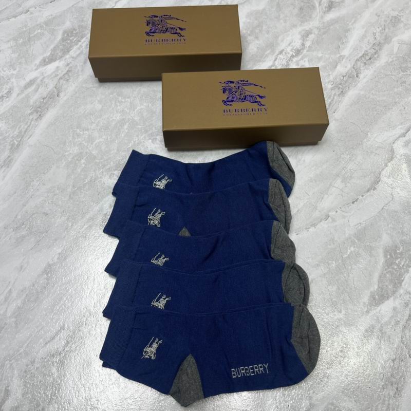 Burberry socks  (5)