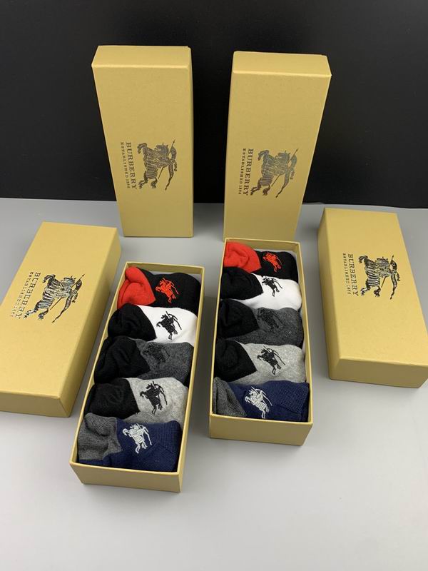 Burberry socks  (9)
