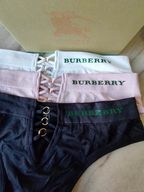Burberry woman boxer M-XL 20 (2)